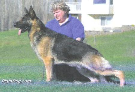 CH (US) Sharobi's Freeway