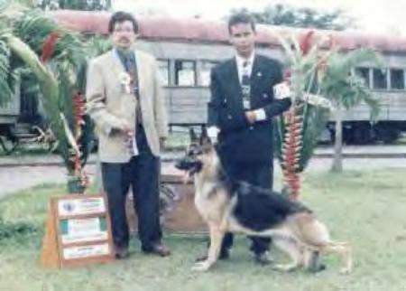 Frequent Flyer Of Nordlicht