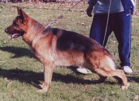 SG5 GIOV.SIMI 2003 Nike della Valle del Liri