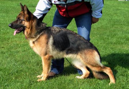 V Dunja von Regina Pacis