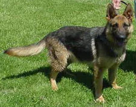 Nakita's Von Hotshot