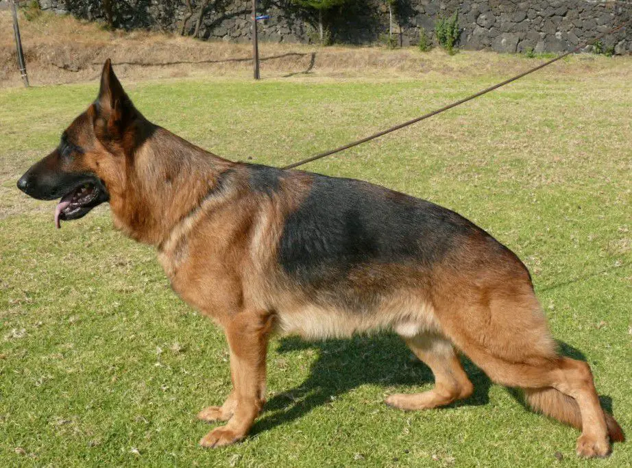 VA3'10 VA2'11 MEX Enrike Totonakapan