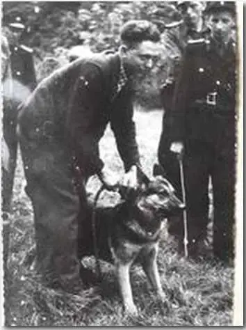 SG Daja vom Oberwerder