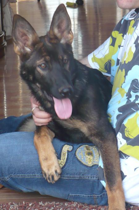 Baronessa Vom Lisdorferland