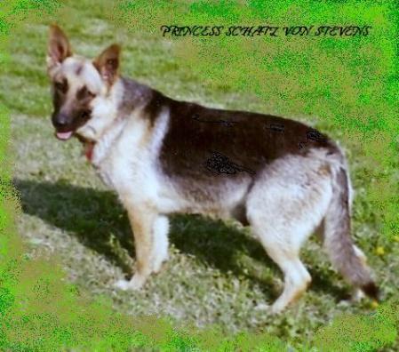 Princess Schatz von Stevens