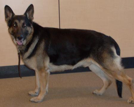 Grauenhof's Heart of Darkness