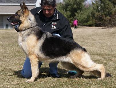 Tazzman's Mona Lisa CGN