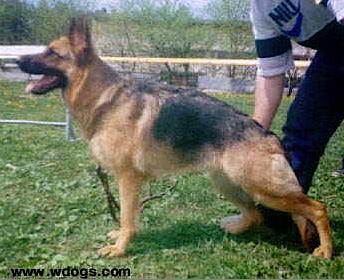 CH RU ,RFLS CH, V Airwolf Karla