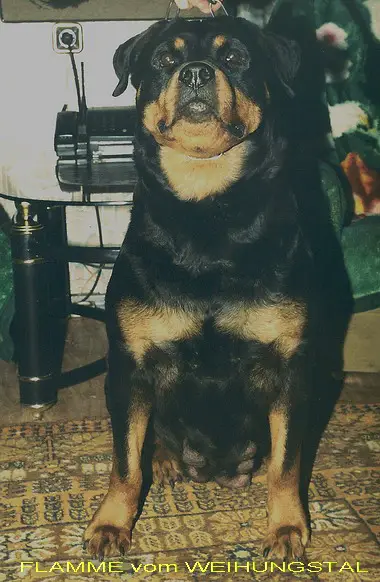 CH (RUS/KAZ) Flamme V Weihungstal