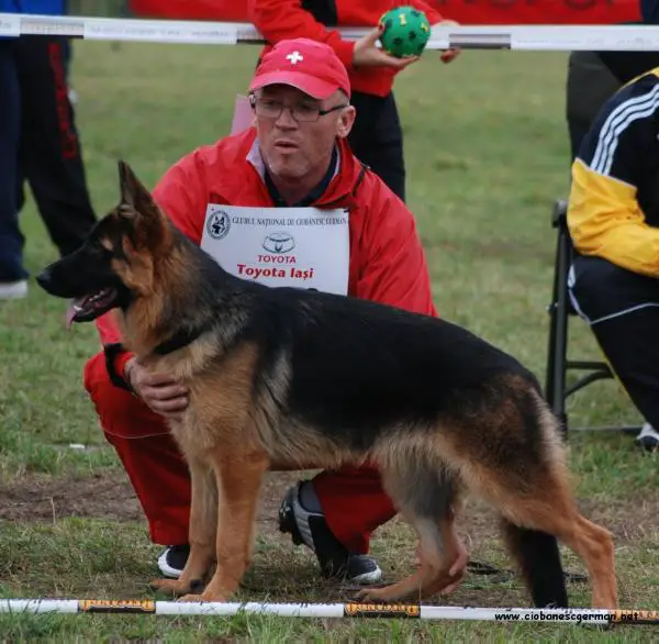 Canada Von Haus Bura