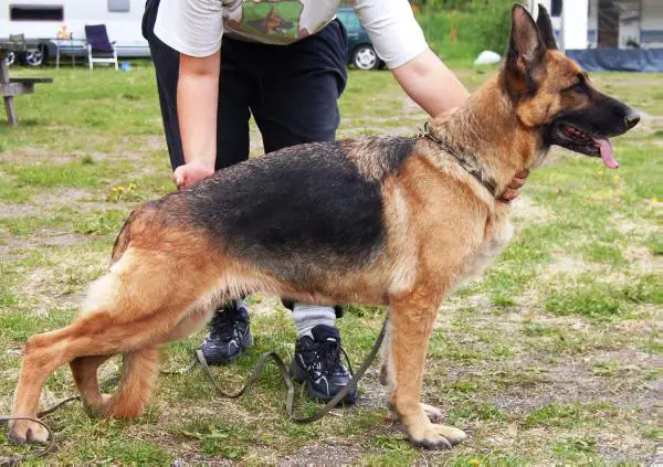 Labelle Von Der Moritzburg