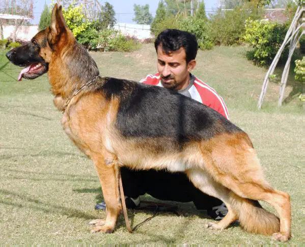 CH (INDIA) Rupal's Kaiyzer