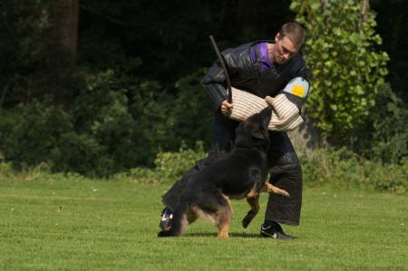 Frits Haus von Freyberg