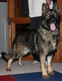 Stormymagic's Farrah