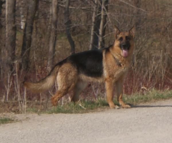 Wild Winds Princess Sophie