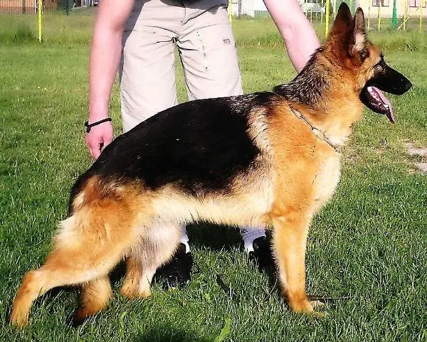 Beti von Komar