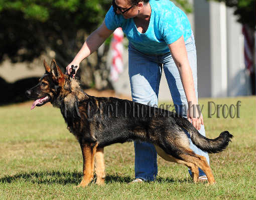 Ari Von Den Thermalquellen