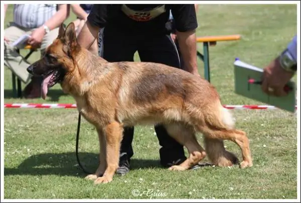 V Hetty von Haus Weiler