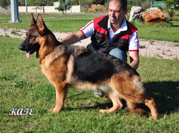 Tara Del Vento Margio