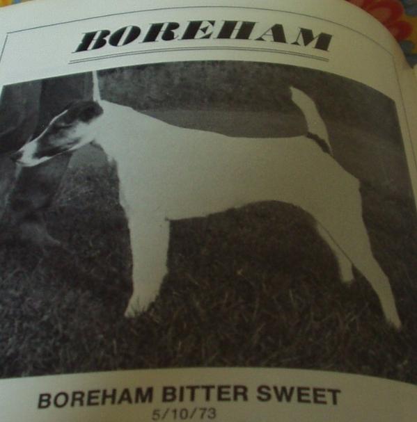 Boreham Bitter Sweet