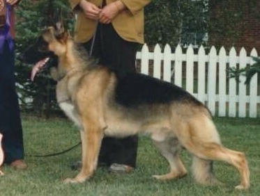 Rio Valle's Challenger