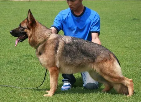 Baerbl von HuaXi