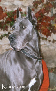 Diaspora du Mas du Galoubet