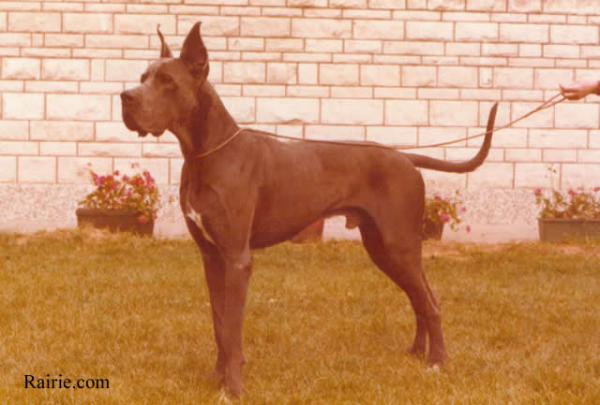 Natchez du Val de L'amitie