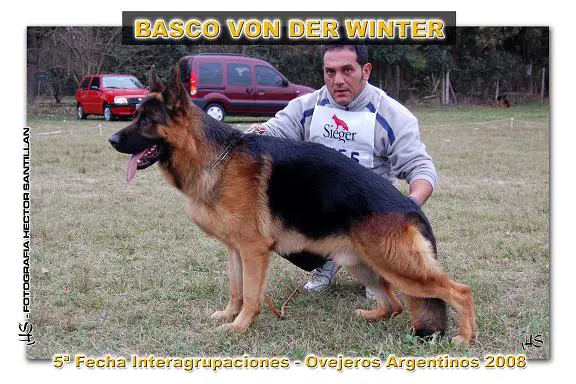 Basco Von Der Winter