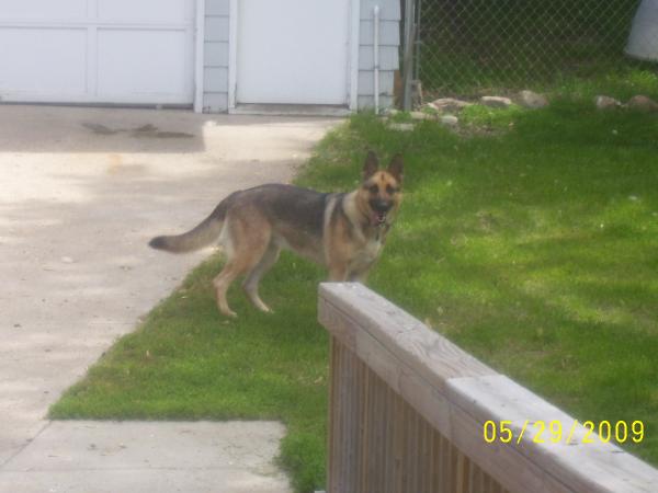 Bj'S Third Times The Charm