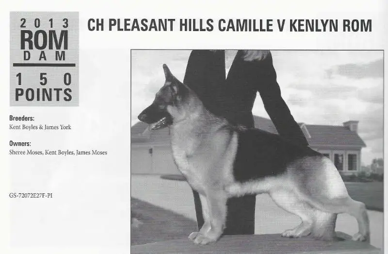 CH Pleasenthills Camille V Kenlyn (Pleasant Hills)