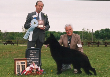 Fleetbreeze's Hope At Sitara