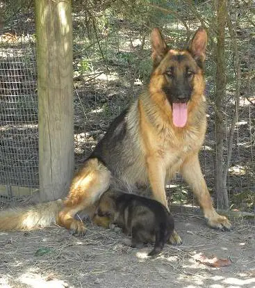 Britta von Haus aus Bade