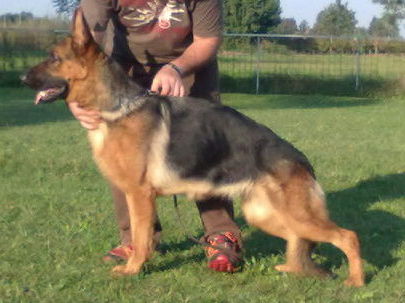 Olly dell'Alto Piano