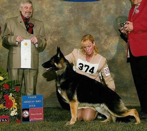 CH (US) Sunrise Wings Of Gold Fircrest TC