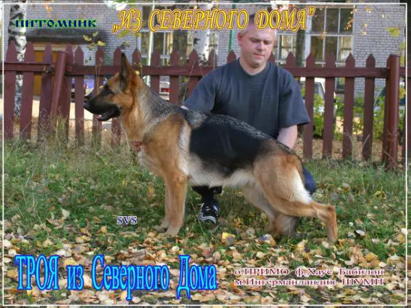 Troya iz Severnogo Doma