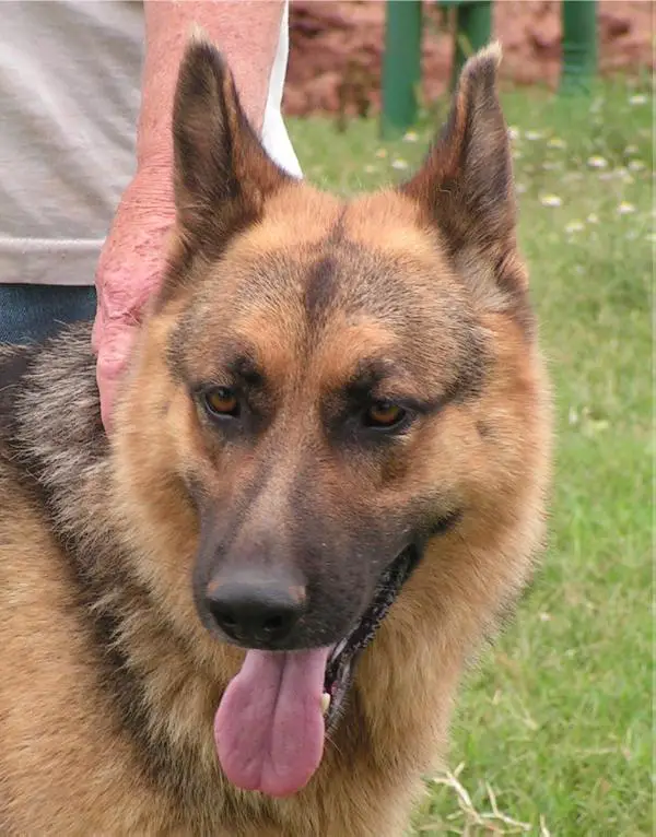 Kinna von Jagermeister