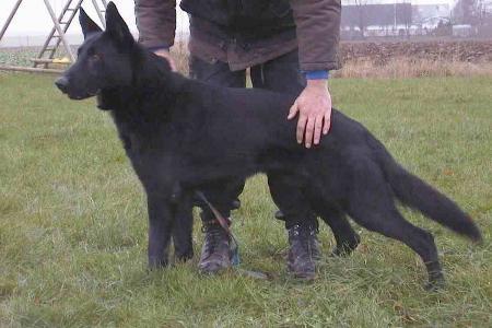 Faro von den Wannaer Höhen