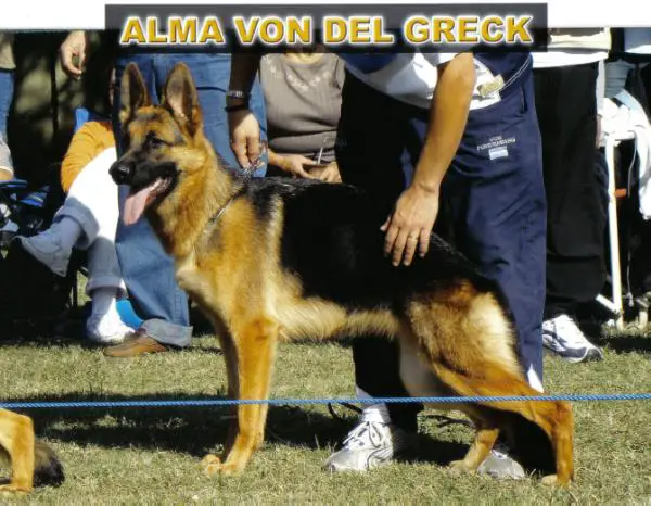 Alma Von Del Greck