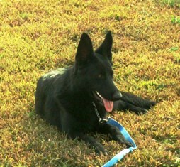 Anja von den Roten Vorbergen