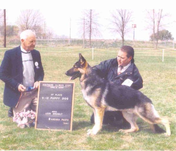 CH. Winsome'S Hucklebeary Finn, TT