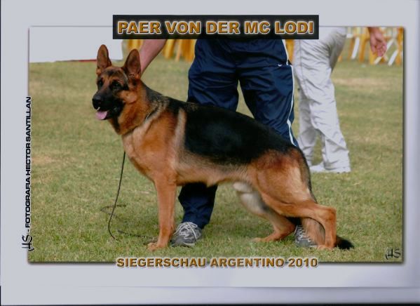 Paer Von Der Mc Lodi