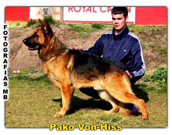 Pako Von Hiss