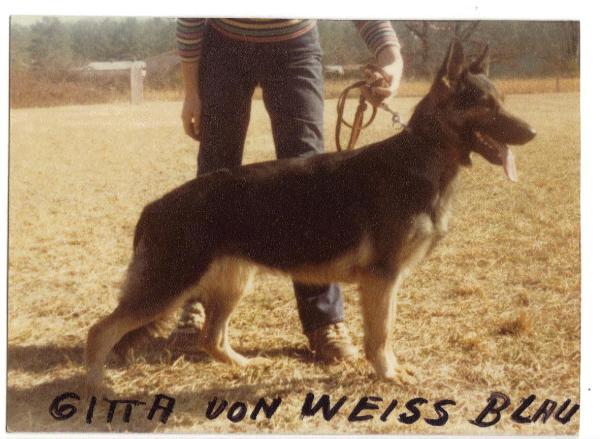 Gitta von Weiss Blau