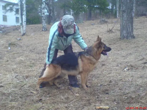 Zilber Wasserfall Tsarskaya Zabava