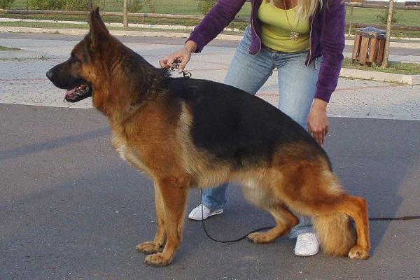 V Uran Framato Rolau