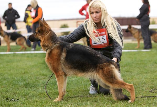 Gabriella Orlando Hof