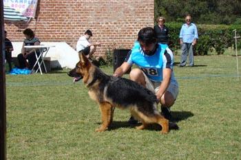 Wonja de ailin neyen