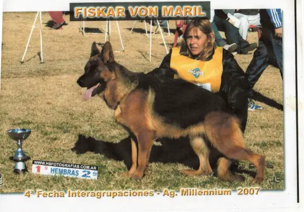 Fiskar Von Maril