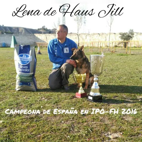 Spain Champion IPO-FH 2016/2017 Lena de Haus Jill